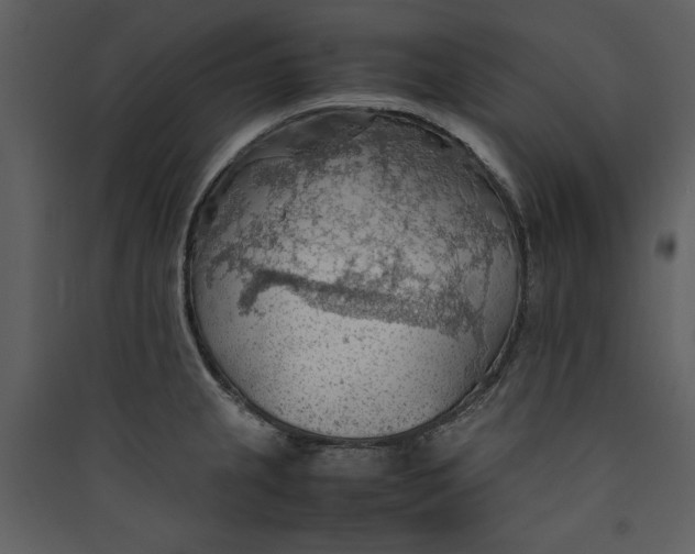 X0000089371237200707131630