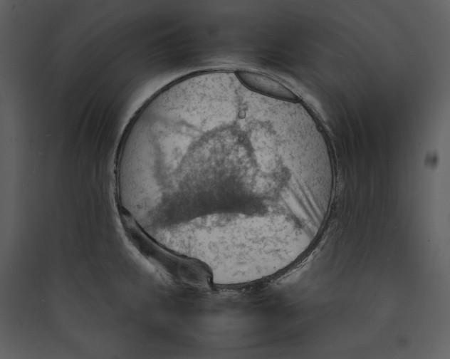 X0000089371239200707131630