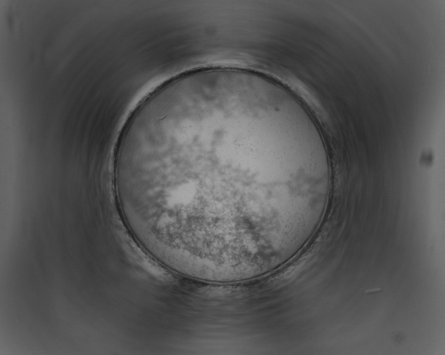 X0000089371240200707131630