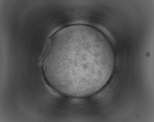 X0000089371241200707131630