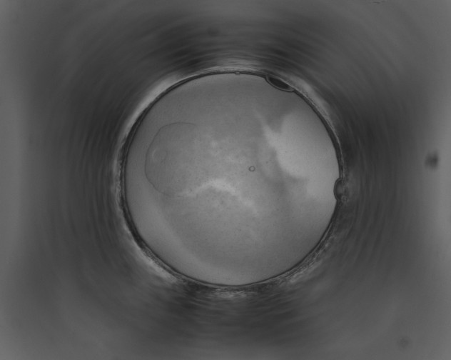 X0000089371243200707131630