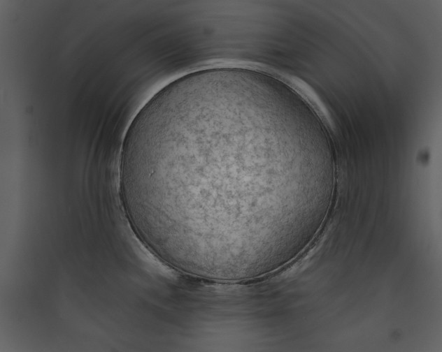 X0000089371244200707131630