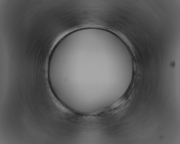 X0000089371246200707131630