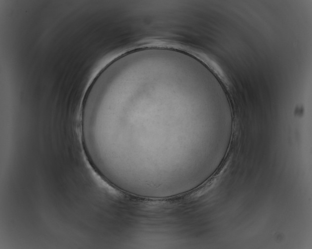 X0000089371247200707131630