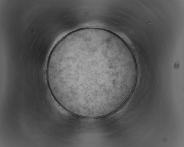 X0000089371248200707131630