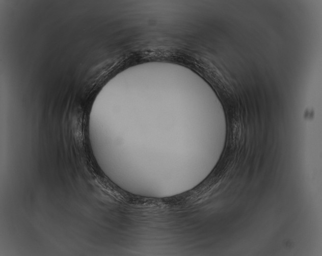 X0000089371250200707131629