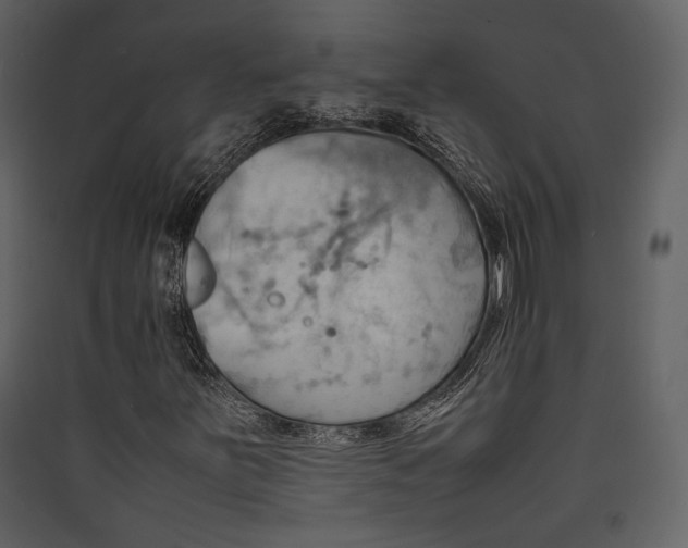 X0000089371251200707131629