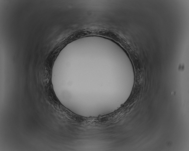 X0000089371253200707131629