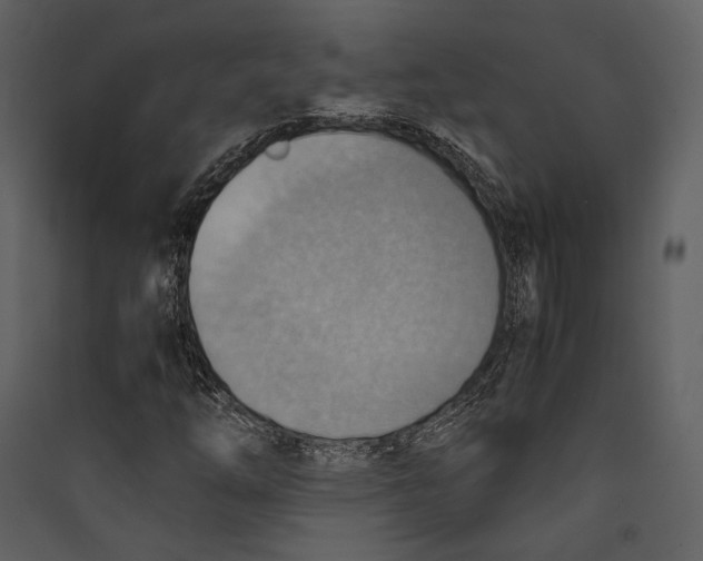 X0000089371254200707131629