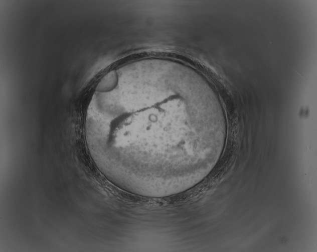 X0000089371255200707131629