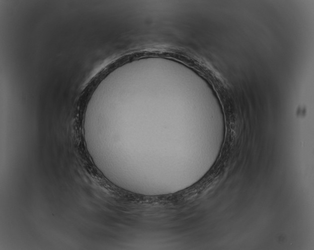 X0000089371256200707131629