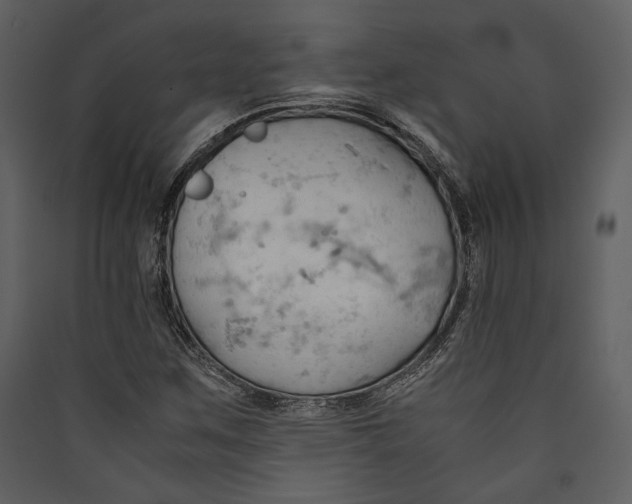 X0000089371259200707131629