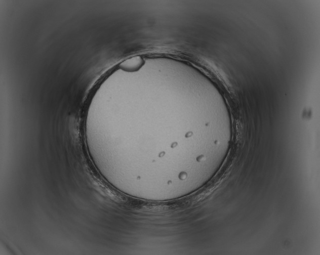 X0000089371260200707131629