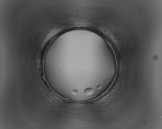 X0000089371261200707131629