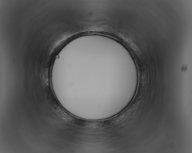 X0000089371262200707131629