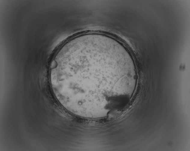 X0000089371263200707131629