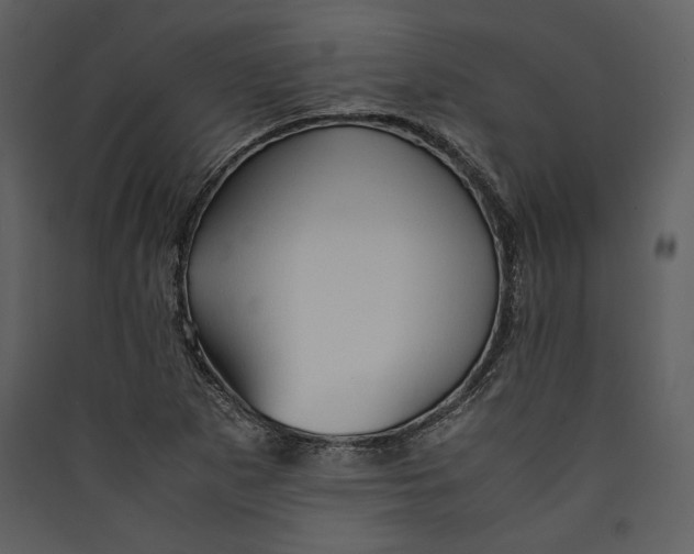 X0000089371265200707131629