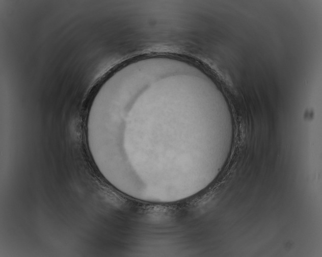 X0000089371266200707131629