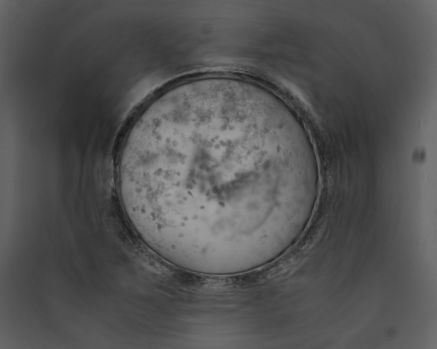 X0000089371267200707131629