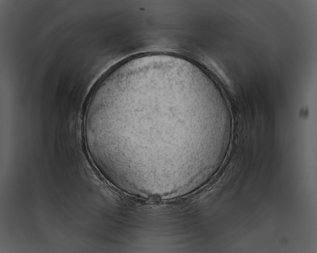 X0000089371268200707131629