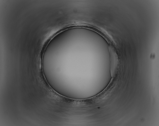 X0000089371269200707131629