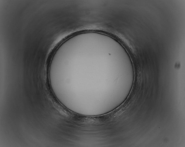 X0000089371270200707131629