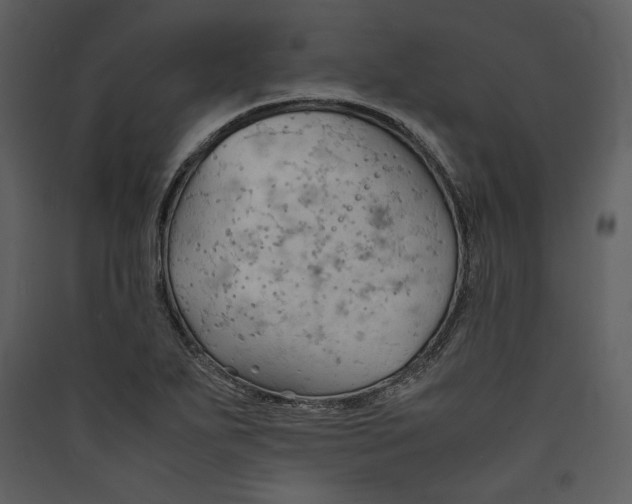 X0000089371271200707131629