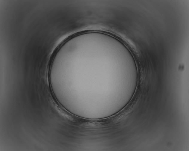 X0000089371272200707131629