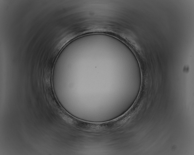 X0000089371273200707131629