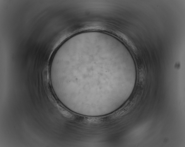 X0000089371274200707131629