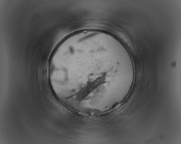 X0000089371275200707131629