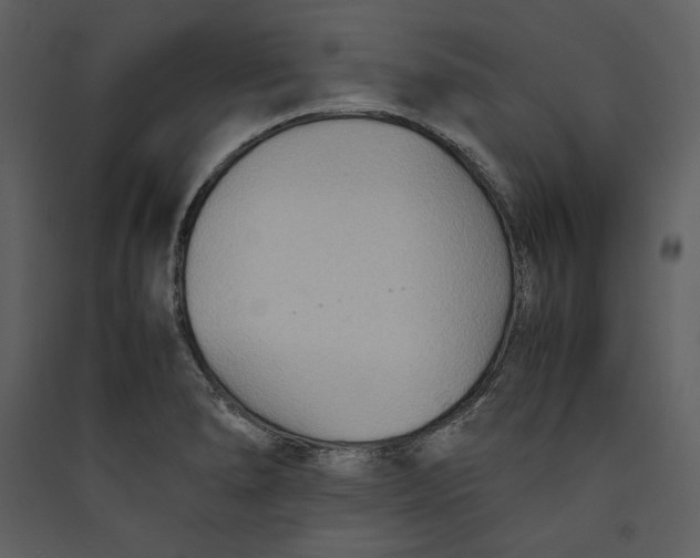 X0000089371278200707131629