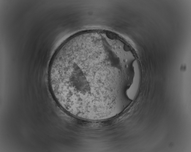 X0000089371279200707131629