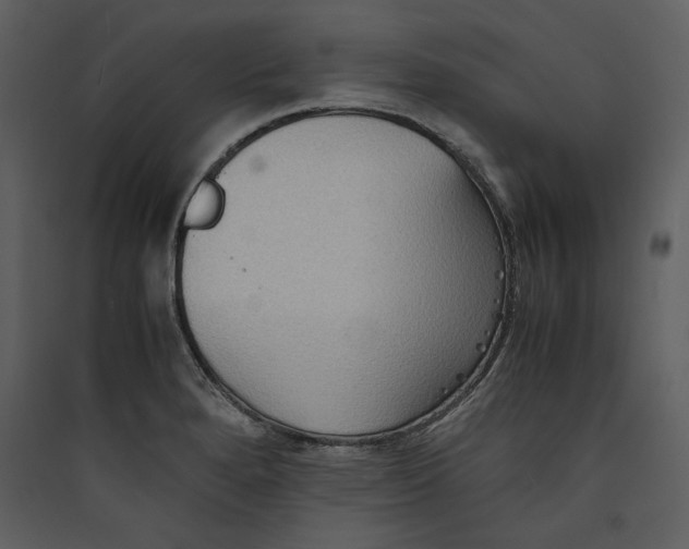 X0000089371280200707131629