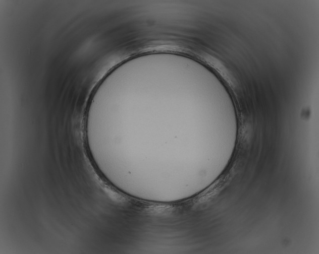 X0000089371282200707131629