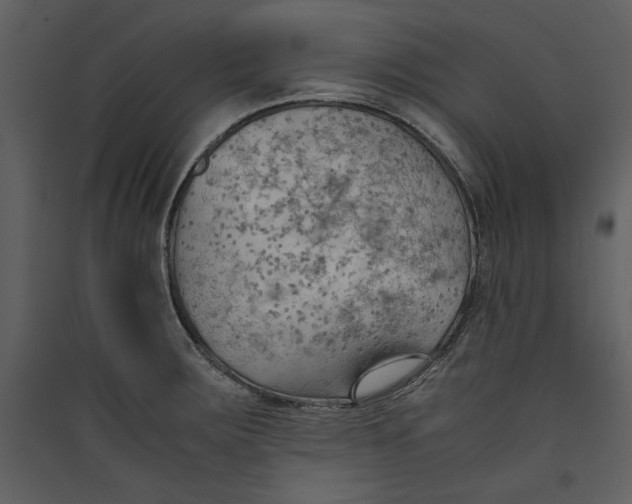 X0000089371283200707131629