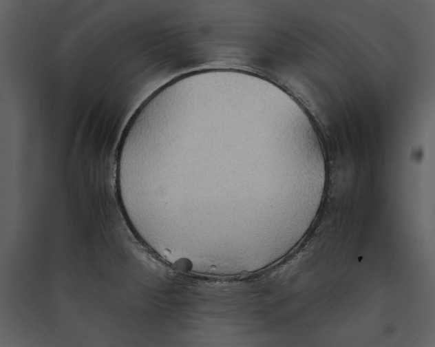 X0000089371284200707131629