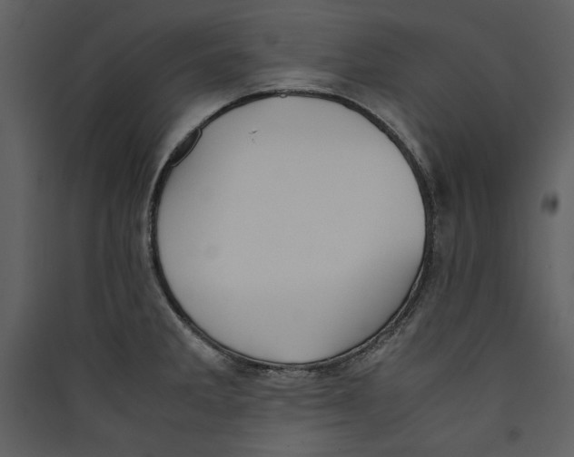 X0000089371285200707131629