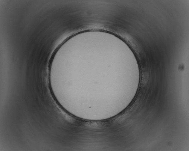 X0000089371286200707131629