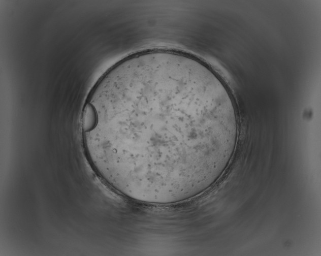 X0000089371287200707131629