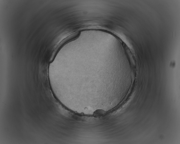 X0000089371289200707131629