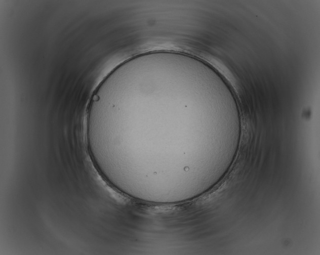 X0000089371290200707131629