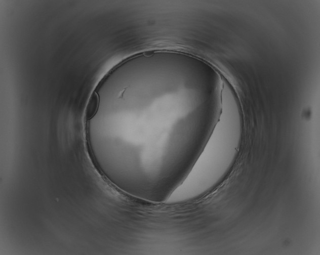 X0000089371291200707131629