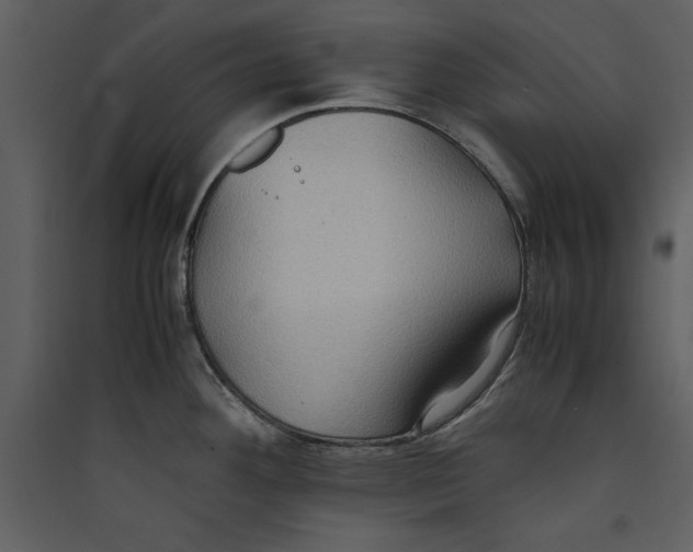 X0000089371292200707131629