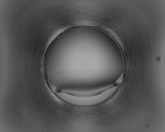 X0000089371293200707131629