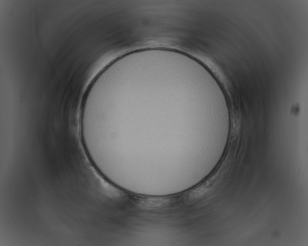 X0000089371294200707131629