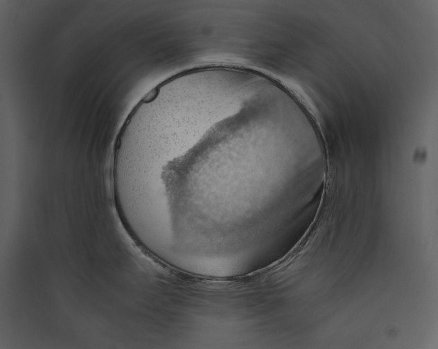 X0000089371295200707131629