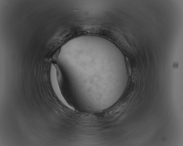 X0000089371298200707131628