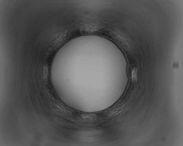 X0000089371299200707131628