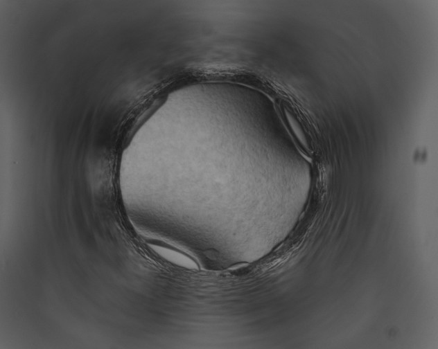 X0000089371300200707131628